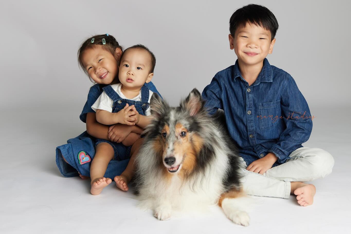 Family photoshoot with the family dog at Orange Studios Singapore