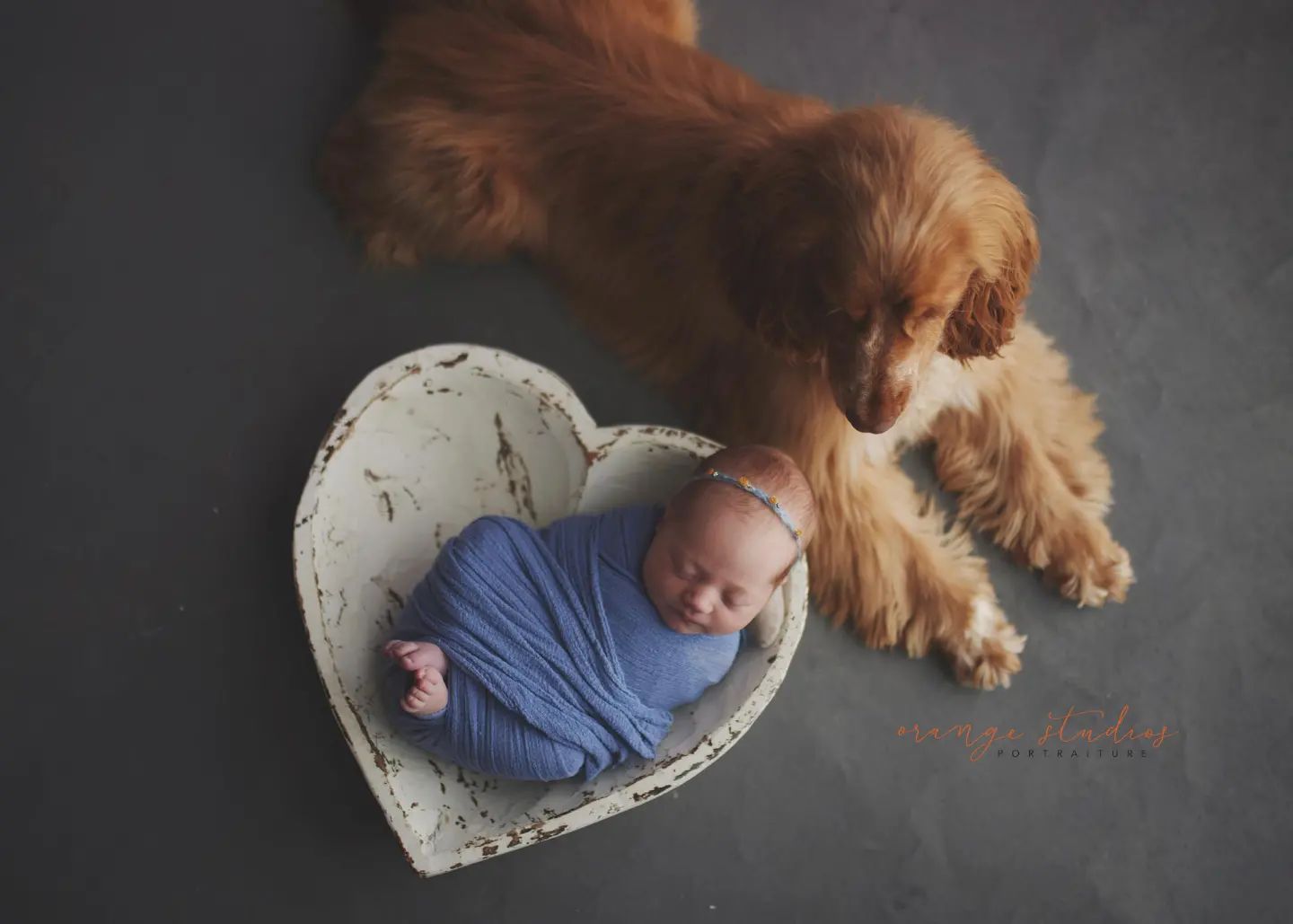 Newborn photography Singapore
